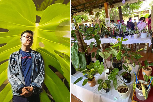 Sở hữu những chậu cây kiểng lá có tổng giá trị vài trăm triệu, chàng trai Sài Gòn tiết lộ thú vui "đắt đỏ" và những vấn đề người tập chơi nên biết