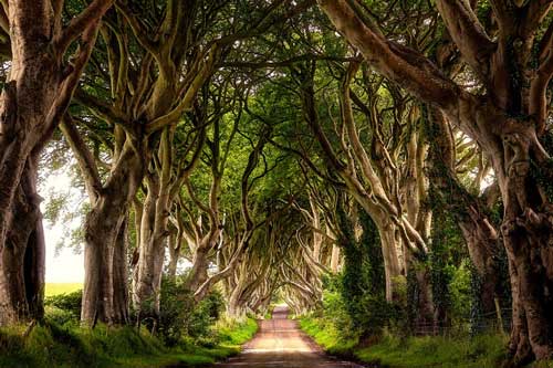 Những điểm đến tuyệt đẹp ít người biết tới (Phần 2)