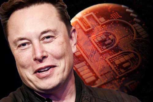 Elon Musk khiến cộng đồng tiền số hoang mang, Bitcoin từ chỉ số ‘tham lam’ rơi thẳng về mức ‘đáng sợ’