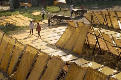 Ghé thăm làng cổ Cự Đà ngắm sắc vàng óng của miến dong