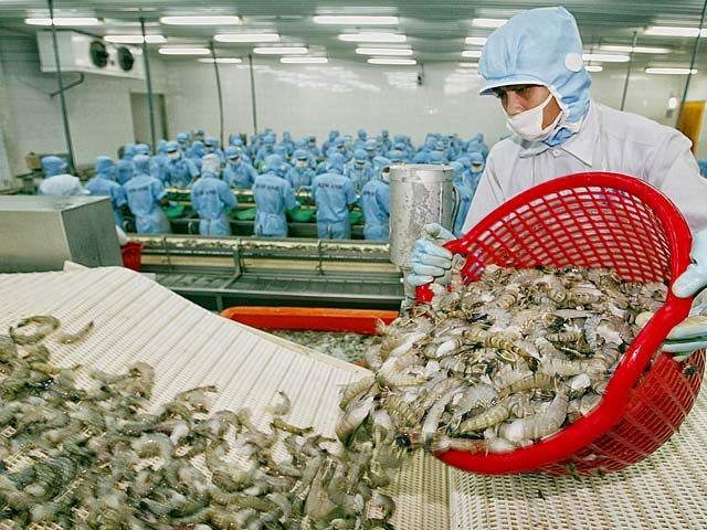 Doanh nghiệp thuỷ sản kiến nghị TP.HCM hoãn thu phí hạ tầng cảng biển