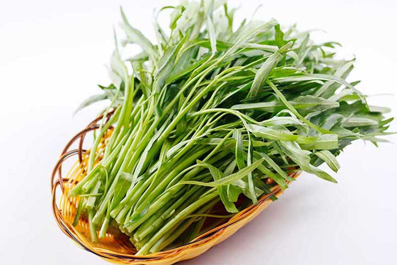 CLIP: 7 loại rau mùa hè vừa rẻ tiền lại có tác dụng thải độc gan cực tốt