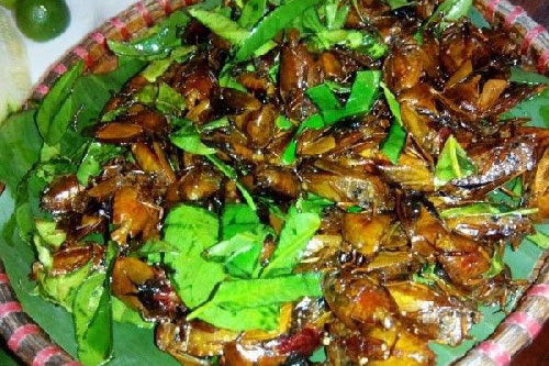 5 món ăn “kinh dị” nhưng mang đậm dấu ấn ẩm thực Tây Bắc