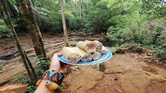 Khám phá vẻ đẹp siêu thực ở khu rừng cổ tích Bù Gia Mập - Ảnh 12.