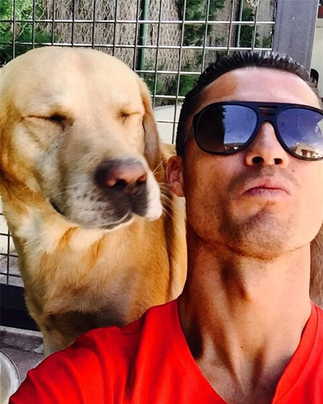 Soi cún cưng của các siêu sao: Ronaldo dùng chó để tán gái, Messi thì sở hữu anh bạn cực bự nhưng chó của Beckham mới là sướng nhất - Ảnh 1.