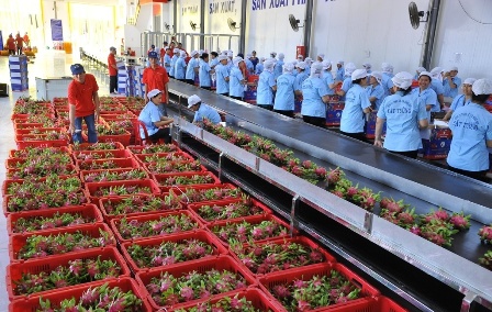 Nâng cao giá trị nông sản qua chế biến để gia tăng giá trị sản phẩm 