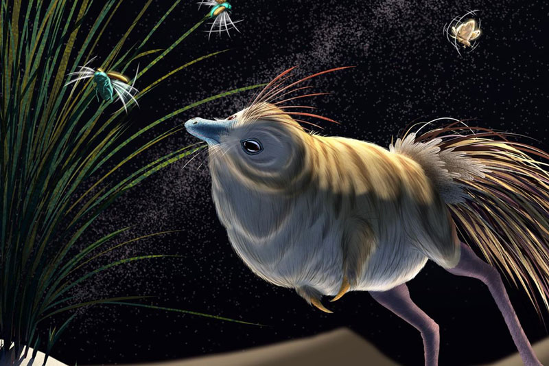 Loài khủng long lạ thường có thể săn đêm và thính hơn loài cú