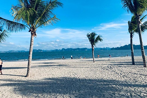 Lượng khách giảm về 0, sếp công ty du lịch phải vay lãi ngân hàng để nuôi quân