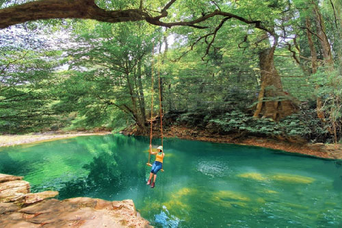 Khám phá vẻ đẹp siêu thực ở khu rừng cổ tích Bù Gia Mập