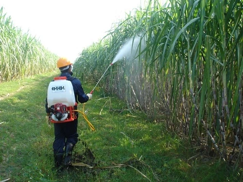 Đặc thù kinh tế Việt Nam phần lớn là nông nghiệp vì vậy đây luôn là "mảnh đất" màu mỡ cho những hành vi vi phạm kinh doanh.