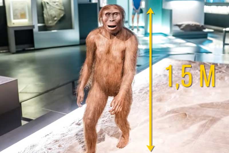 CLIP: Những loài động vật có vú cổ đại lớn nhất: Có loài to hơn khủng long nhiều lần