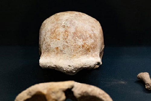Tìm thấy hài cốt của chín người Neanderthal trong hang động phía nam Rome