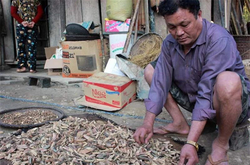 Choáng với danh sách đàn ông đào hoa nhất Việt Nam, 37 người vợ, con cháu không đếm xuể - 5