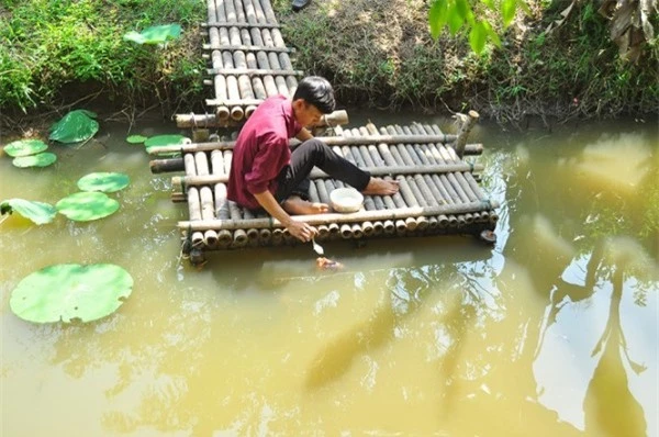 Kỳ lạ đàn cá tai tượng 30 năm ăn chay ở Cần Thơ