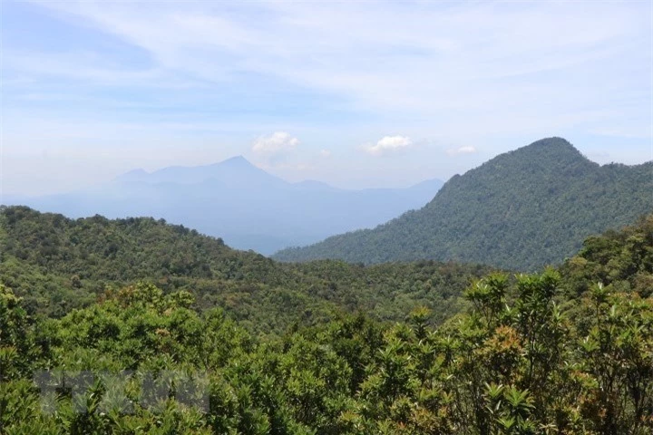 Vườn quốc gia Bạch Mã - kho báu 'di sản thiên nhiên'  - Ảnh 1.