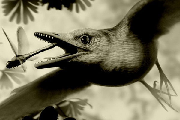 Kinh ngạc sinh vật bụng đầy đá quý, sống cạnh khủng long