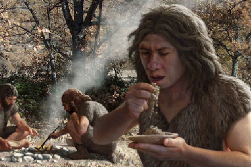 Người Neanderthal phát triển bộ não nhờ ăn nhiều tinh bột
