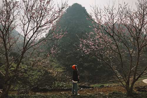 Thanh xuân, nhất định phải đi Hà Giang một lần