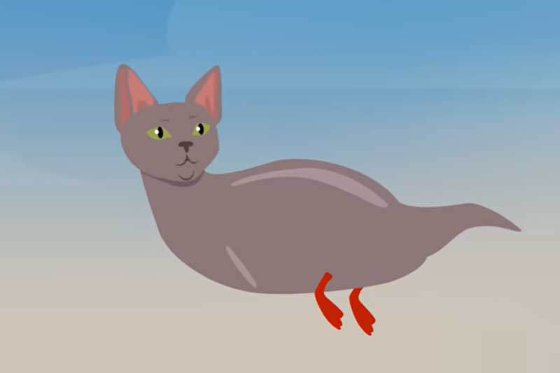 CLIP: Các loài động vật trên Trái Đất trông sẽ ra sau một trăm triệu năm nữa?