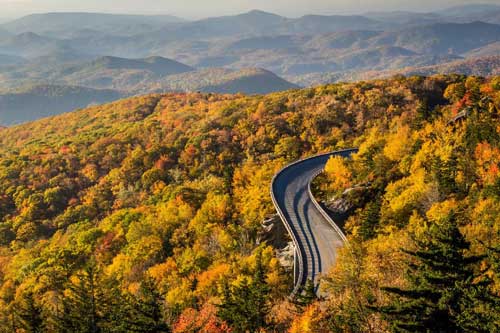 Ngỡ ngàng trước vẻ đẹp của mùa cây thay lá