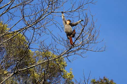 Vườn quốc gia Bạch Mã - kho báu 'di sản thiên nhiên'