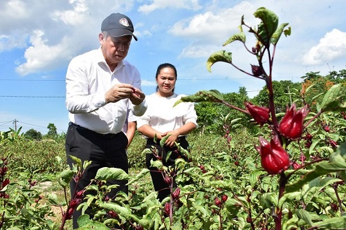 Chủ tịch tỉnh Thừa Thiên Huế trao giải thưởng riêng cho Cuộc thi Khởi nghiệp đổi mới sáng tạo