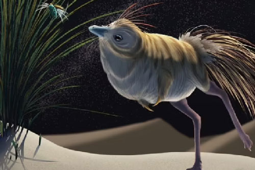 Phát hiện "ma cà rồng" 65 triệu tuổi vùi giữa sa mạc Mông Cổ