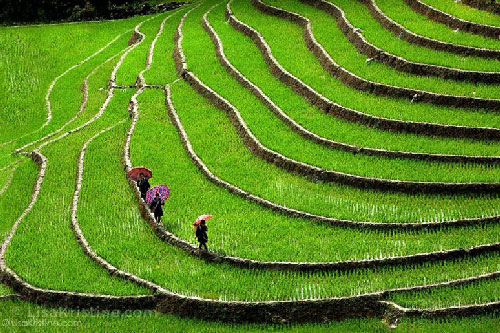 Ngắm Việt Nam đẹp mê ly qua ống kính nhiếp ảnh gia người Mỹ