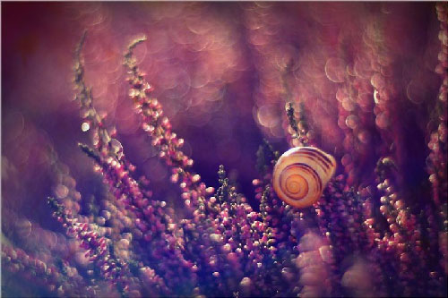 Ngắm vẻ đẹp ma mị của thiên nhiên