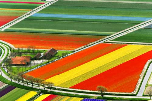 Phong cảnh thiên nhiên thế giới 'khoe' sắc màu rực rỡ