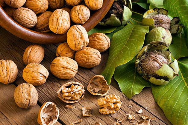 2 món thảo dược dễ kiếm là "thần dược" trị chứng đau cổ vai gáy, tê tay nhiều người mắc phải