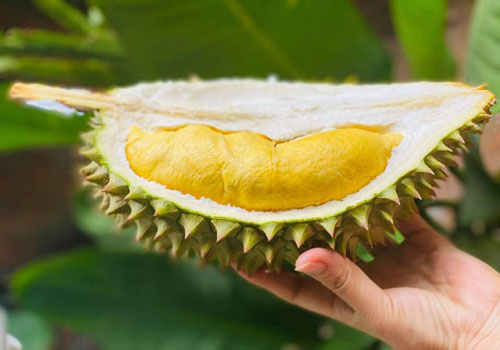 Sầu riêng Cái Mơn là đặc sản tỉnh nào?