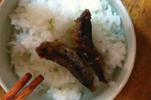 5 sai lầm khi ăn sáng gây hại sức khỏe mà nhiều người đang mắc phải