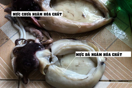 Cách nhận biết mực đã ngâm hóa chất.