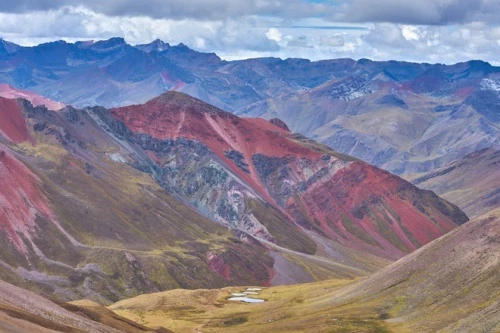 Dù có thời tiết khắc nghiệt, một số vùng thuộc dãy Andes vẫn có sự hệ động, thực vật khá đa dạng, với nhiều loài đặc hữu. Đáng chú ý, nơi đây có tới gần 1.700 loài chim, hơn 600 loài bò sát và khoảng 400 loài cá. Ảnh: World Atlas.