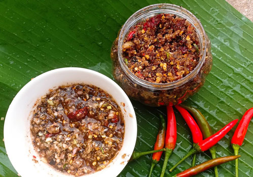 Lo&#x1EA1;t gia v&#x1ECB; ch&#x1EA5;m n&#x1ED5;i ti&#x1EBF;ng h&#x1EA5;p d&#x1EAB;n th&#x1EF1;c kh&#xE1;ch