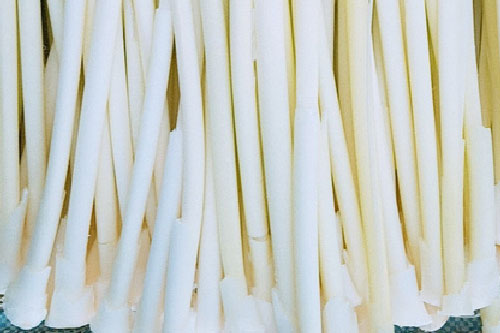 Kỳ thú đặc sản trời ban "xuất thân" từ cây cỏ dại