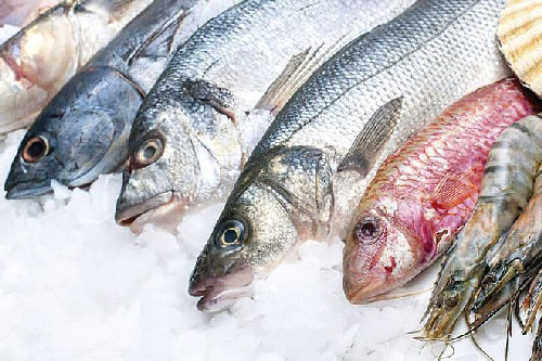 Cách rã đông cá khoa học nhất để giữ chất dinh dưỡng