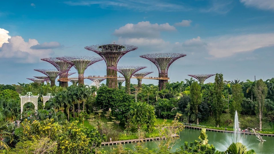 Theo sách Đông Nam Á – Các di tích lịch sử, thắng cảnh, vườn bách thảo Singapore Botanic Gardens là một trong những điểm du lịch hấp dẫn nhất của đất nước này. Vào tháng 7/2015, khu vườn đã được UNESCO công nhận là Di sản thế giới, trở thành khu vườn đầu tiên ở châu Á, thứ 3 trên thế giới được UNESCO đưa vào danh sách di sản. Ảnh: Wikipedia.