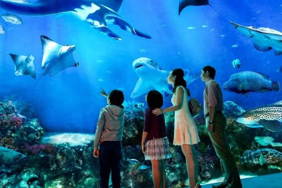 Nằm trên đảo Sentosa, khu thủy cung S.E.A. Aquarium là một tổ hợp công viên đại dương, trưng bày hơn 100.000 sinh vật biển, thuộc 800 loài và hơn 20.000 loại san hô với sức chứa lên tới 45 triệu lít nước. Thủy cung cũng sở hữu dòng sông lười dài nhất thế giới (620m) và bộ sưu tập cá đuối lớn nhất thế giới. Đây cũng là một trong những điểm du lịch hấp dẫn nhất của Singapore. Ảnh: Sentosa.com.