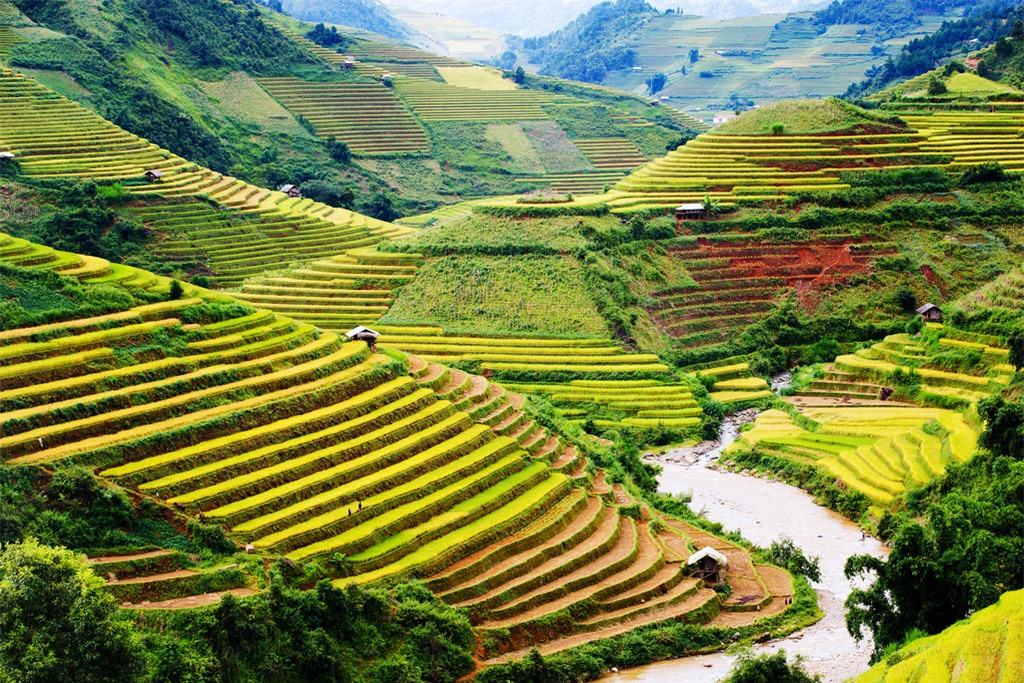 Mù Cang Chải: Vietnam