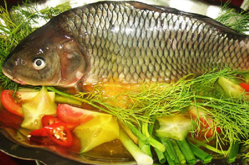Ăn cá chép thường xuyên cơ thể nhận về cả tá lợi ích quý