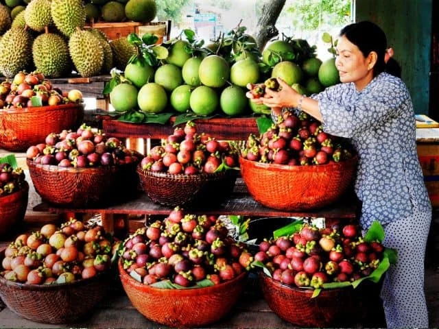 Năm 2005, địa danh Cái Mơn được tổ chức Kỷ lục Guinness Việt Nam công nhận là “Nơi cung cấp giống cây ăn quả do người dân tự lai tạo lớn nhất Việt Nam”. Ảnh: Vn Trip.