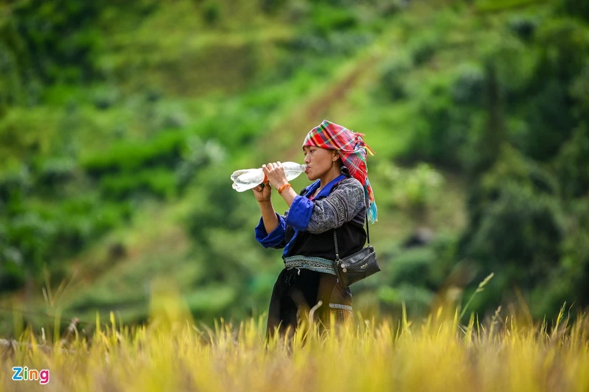 Nhằm tôn vinh di tích danh thắng này và phát huy các giá trị văn hóa người Mông, nâng cao ý thức bảo tồn di sản, tuần lễ văn hóa, du lịch Danh thắng quốc gia Ruộng bậc thang huyện Mù Cang Chải đã được tổ chức từ năm 2015. Tuần lễ có nhiều hoạt động gồm chọi dê, hội giã cốm, hội chợ ẩm thực cùng nhiều hoạt động văn hóa khác.