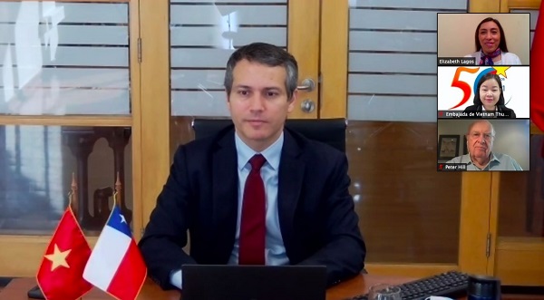 Thương mại song phương Việt Nam - Chile tăng trưởng trung bình 6,5%