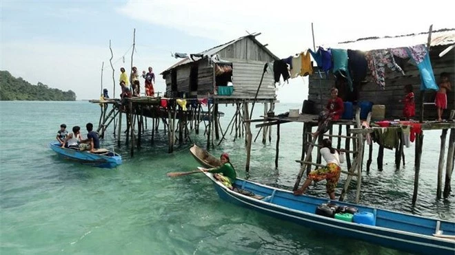 Tim có mùi gì? Tại sao xương quai xanh dễ gãy? Đây là những sự thật về cơ thể mà ít người biết tới - Ảnh 4.