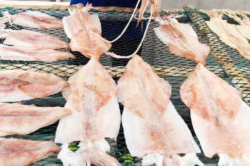 Đặc sản mực khô Cô Tô