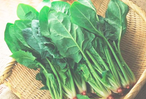 Bị rụng tóc nên ăn thực phẩm này