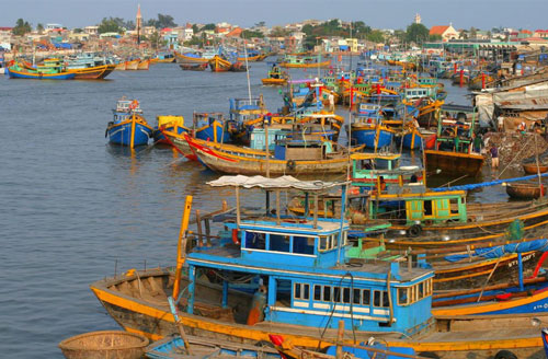 Tỉnh nào lớn nhất Đồng bằng sông Cửu Long?