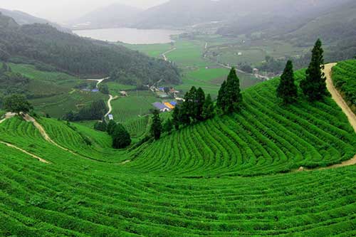 Không thể bỏ qua những điểm du lịch này khi đến Thái Nguyên